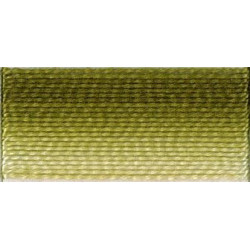 Coton perlé n°8 ref 94 vert dégradé