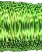 Fil Déco Verni 0,3 mm Vert Pomme 50 m