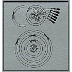 Cercle magique (7cm /10cm/ 17cm en un seul)