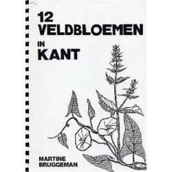 Catalogue n°1 fleurs des champs Bruggeman