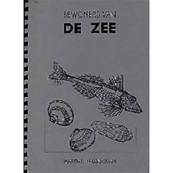 Catalogue n°19 Les animaux de la mer