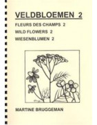 Catalogue n°42 Fleurs des champs 2
