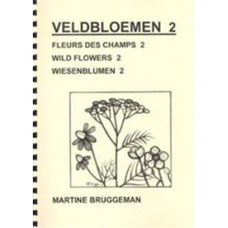 Catalogue n°42 Fleurs des champs 2