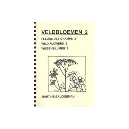 Catalogue n°42 Fleurs des champs 2