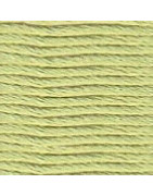 Soie d'Alger  5m - Vert tilleul  (2132)