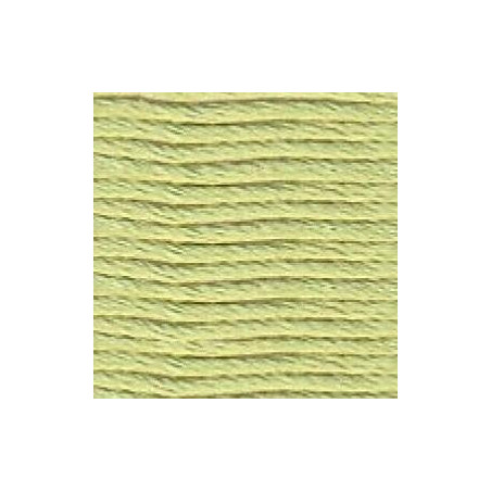 Soie d'Alger  5m - Vert tilleul  (2132)