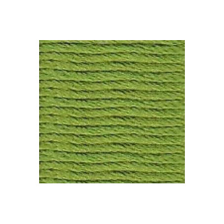 Soie d'Alger  5m - Vert Oeillet  (2134)