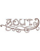 Revue  La Dentelle  n°166 NUMERIQUE