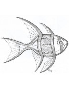 Revue ''La Dentelle'' n°148 (jan/fev/mar 2017)