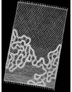 CD n°5 revues  La Dentelle  du n°33 à 40