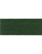 Soie 303 ref 841 vert sapin