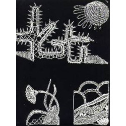 * Planche B  : comète de Halley, fleur, cactus...