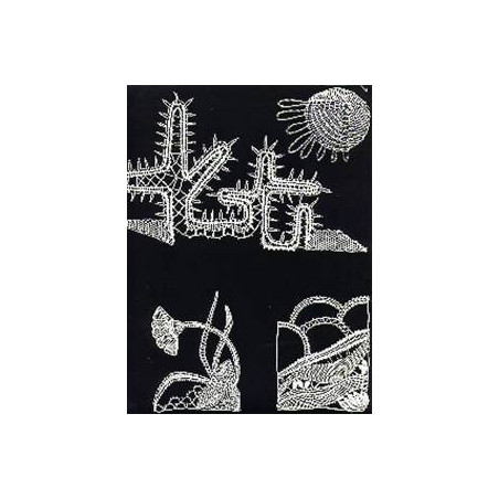 * Planche B  : comète de Halley, fleur, cactus...