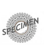 Planche Dentelle Cluny pour petit Bougeoir