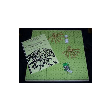 Kit :9 cubes +methode+30 fx OL1+ép arpètes+3 cocons