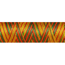 Fil coton Venne Nm 40/2 140 mètres 3010 Porto