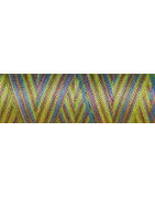 Fil coton Venne Nm 40/2 140 mètres 3020 spring