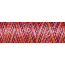 Fil coton Venne Nm 40/2 140 mètres 4008 summer