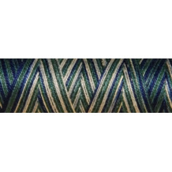 Fil coton Venne Nm 40/2 140 mètres 4012 land