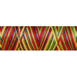 Fil coton Venne Nm 40/2 140 mètres 3002 fiesta