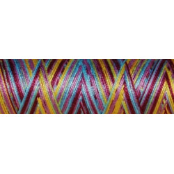 Fil coton Venne Nm 40/2 140 mètres 3032 flower