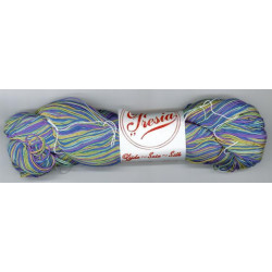 Soie Streng 013 Violet Vert NM15/3 - 50 gr écheveau de 250m