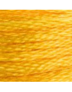 Mouliné spécial n°972 jaune curry