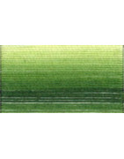 Coton DMC N°80 ref 92 vert dégradé