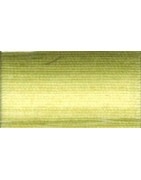 Coton DMC N°80 ref 94 vert kaki dégradé