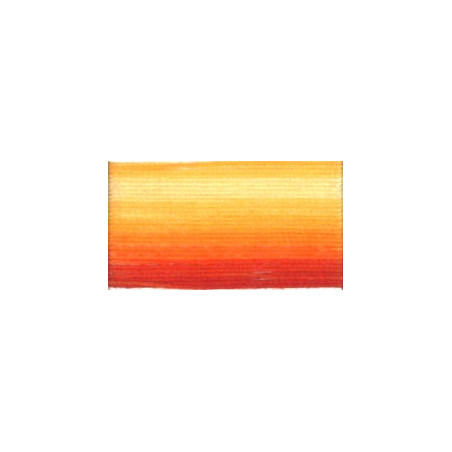 Coton DMC N°80 ref 51 orange-dégradé