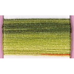 Cocon Calais n°6935 Avocat - vert dégradé (coton égyptien) (Ass5)